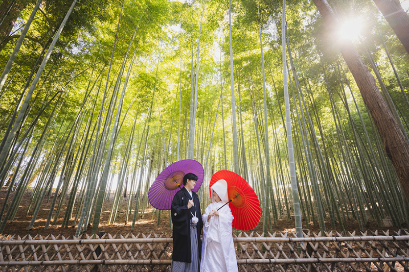 偕楽園竹林にて