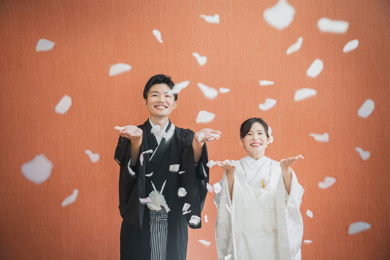 スタジオ背景：ブラウンバック