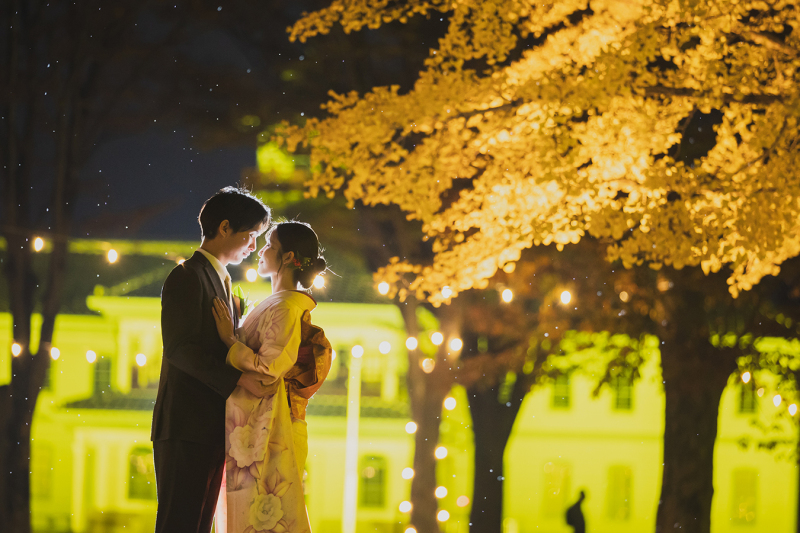 歴史館イチョウライトアップ