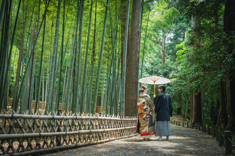偕楽園竹林にて