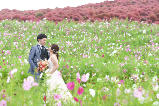 10月＊指定外ロケーション撮影/海浜公園＊雨-ウェディングドレス♪