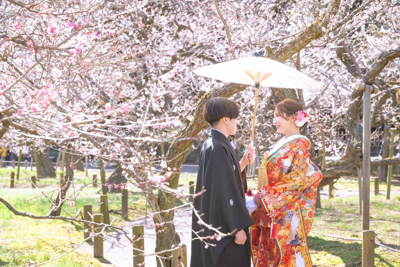 梅が見ごろな偕楽園内...