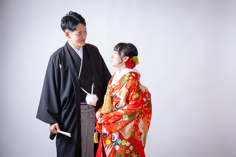 スタジオ背景：ペーパーバックホワイト