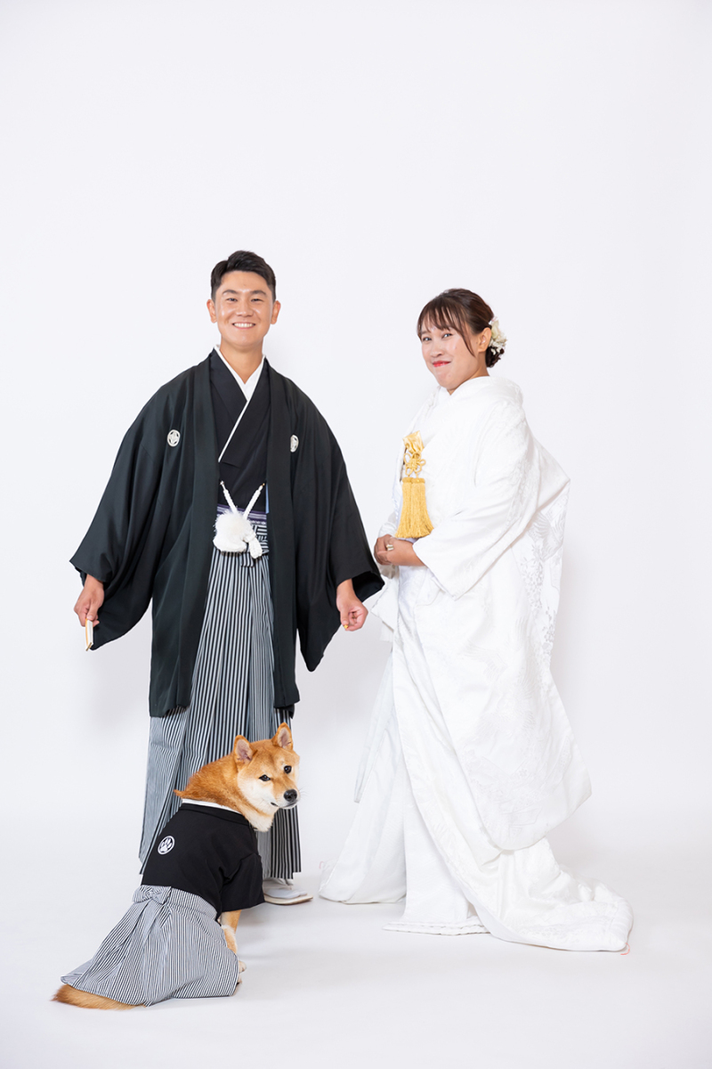 スタジオ背景：ペーパーバック