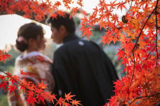 12月＊偕楽園/紅葉でロケーション撮影＊晴れ-色打掛♪