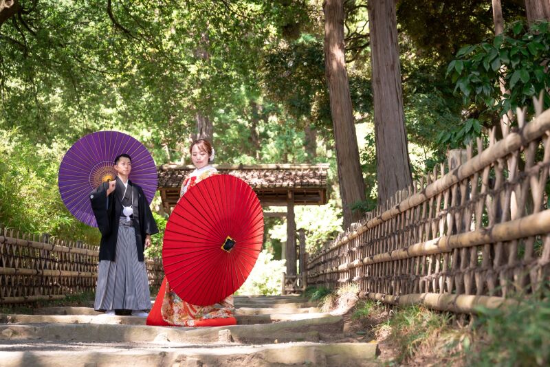 緑豊かなこの時期に