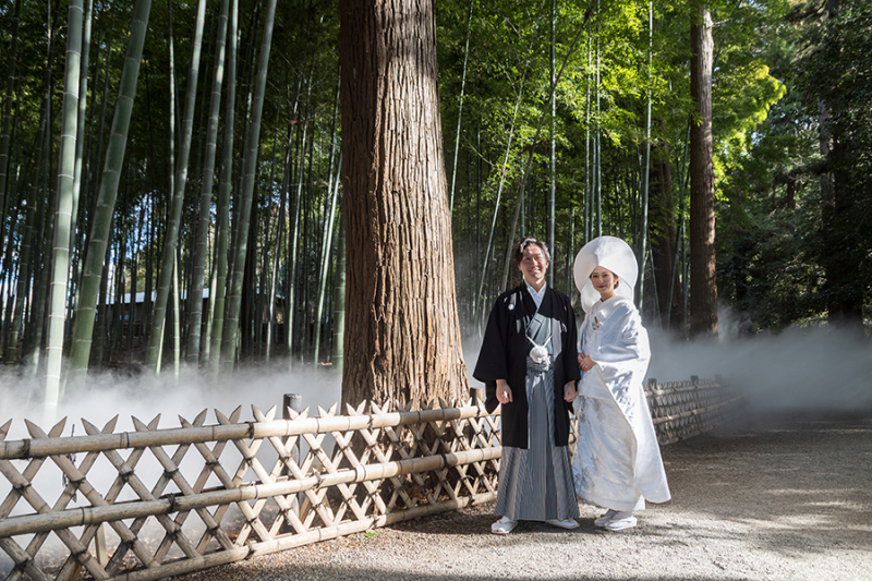 偕楽園竹林にて