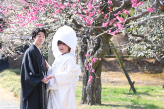2月＊偕楽園＊梅ロケーション＋スタジオ撮影＊白無垢/色打掛＊晴天
