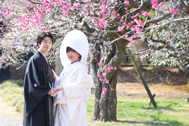 2月*偕楽園*梅ロケーション+スタジオ撮影*白無垢/色打掛*晴天