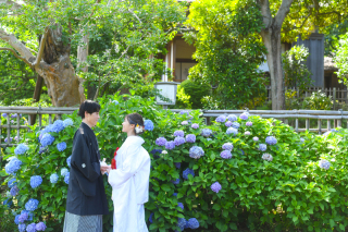 華雅苑[KAGAEN] 水戸店_オープニングムービー＊久慈浜＆偕楽園ロケーション