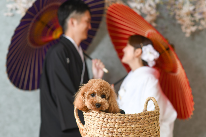 Point1 多彩な撮影シーン