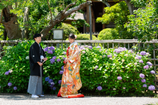 華雅苑 水戸店_和装ロケ【偕楽園】紫陽花 / AJISAI