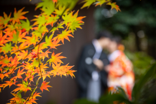 華雅苑[KAGAEN] 水戸店_和装ロケ【偕楽園】紅葉