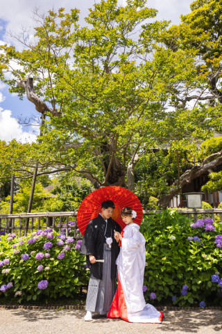 華雅苑[KAGAEN] 水戸店_和装ロケ【偕楽園】紫陽花 / AJISAI