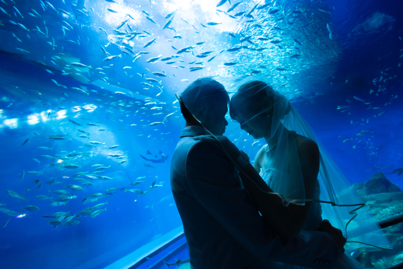 【通年・ドレスで水族館】◎1着(データ130カット)衣裳は40着から/グレードアップ料なし*PREMIUM空間でロケ!!