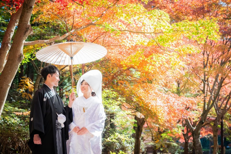 ❀紅葉鮮やかに 11/24～12/7の撮影：和装ドレス・2着ロケ❀(データ210カット) 差額発生なし＊和洋2着セットでお得!!