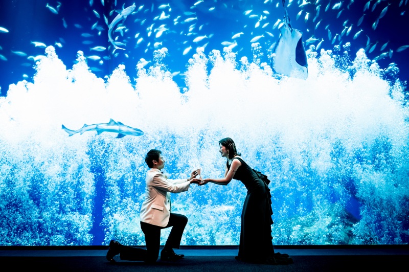 【通年・ドレスで水族館】◎1着(データ130カット)衣裳は40着から/グレードアップ料なし*PREMIUM空間でロケ!!