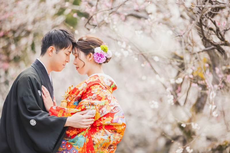 ❀水戸の梅ロケ偕楽園&スタ:先行受付開始❀ 2/14~2/28の撮影【和装2着撮影】データ230枚以上納品 衣裳は40着より!
