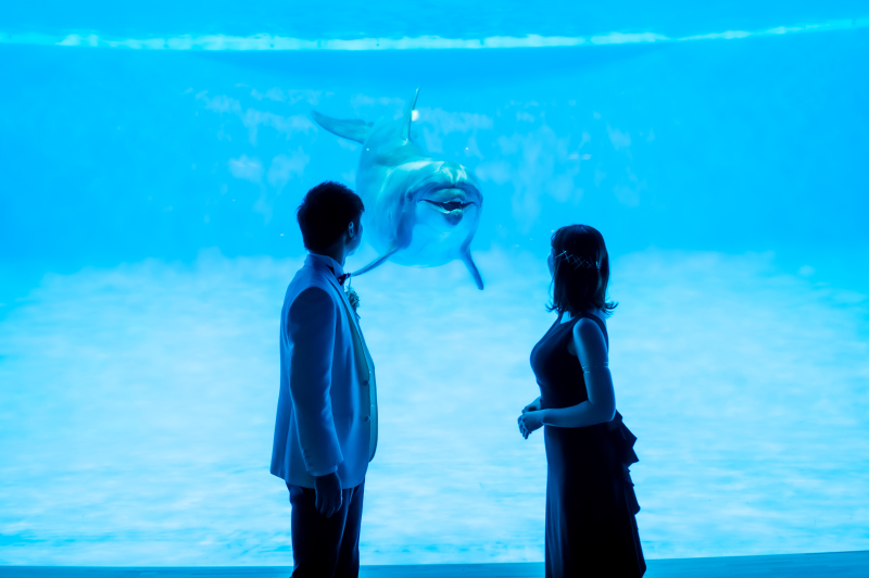 【通年・ドレスで水族館】◎1着(データ130カット)衣裳は40着から/グレードアップ料なし*PREMIUM空間でロケ!!