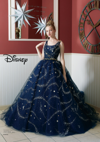 DWS0028 ﾈｲﾋﾞｰ