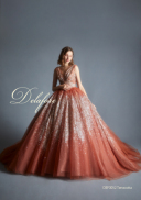 DEF0052 ﾃﾗｺｯﾀ