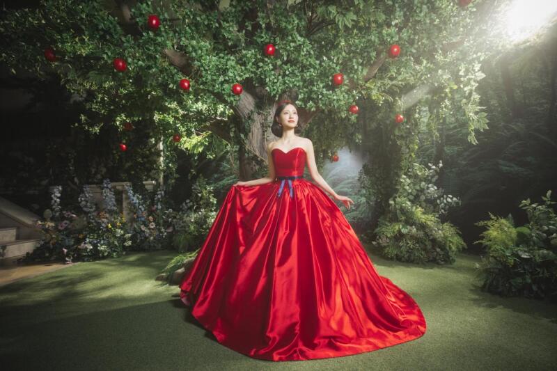 ソロプランのご紹介♪