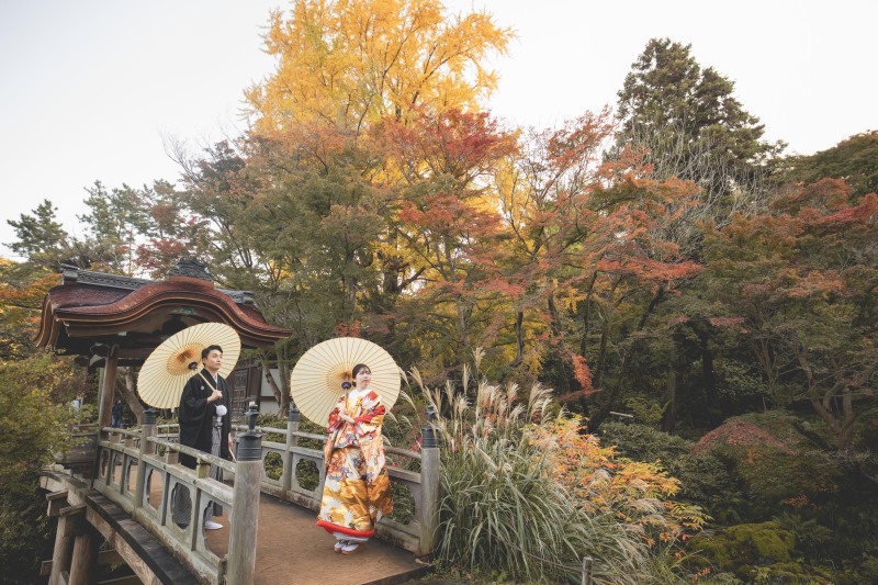 番傘をもって、凛としたワンカット