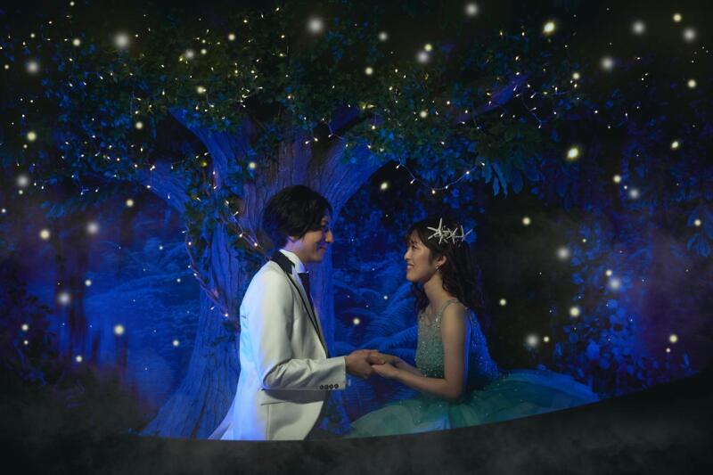 ホタルのあのシーンも...♪