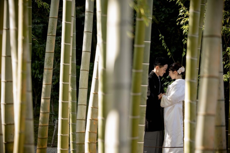 竹林の間から趣のあるお写真に