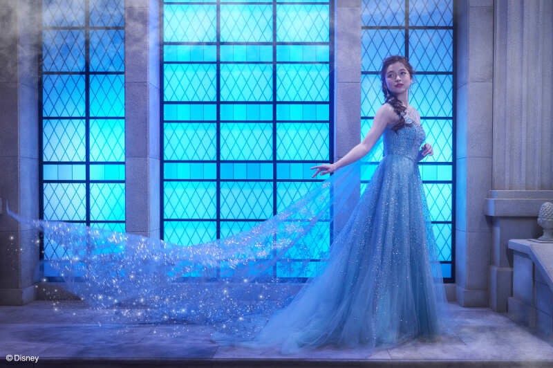 ＊憧れの世界観で撮影を…＊【ディズニープラン】Disney Princess (ソロプラン)