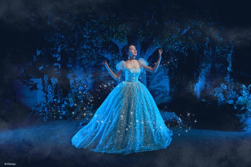 ＊憧れの世界観で撮影を…＊【ディズニープラン】Disney Princess (ソロプラン)