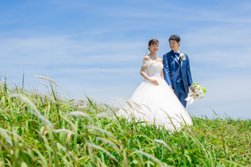 海風そよぐ草原に包まれるワンシーン