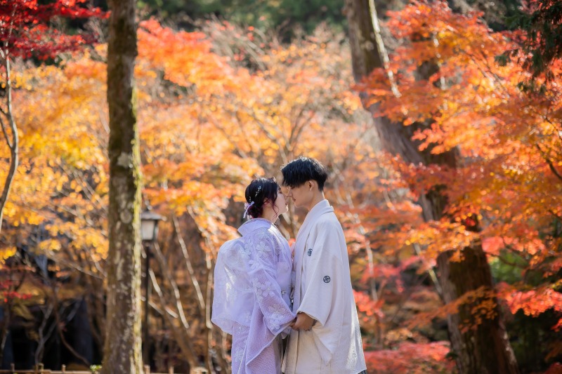 伝統も個性も叶う和装セレクト