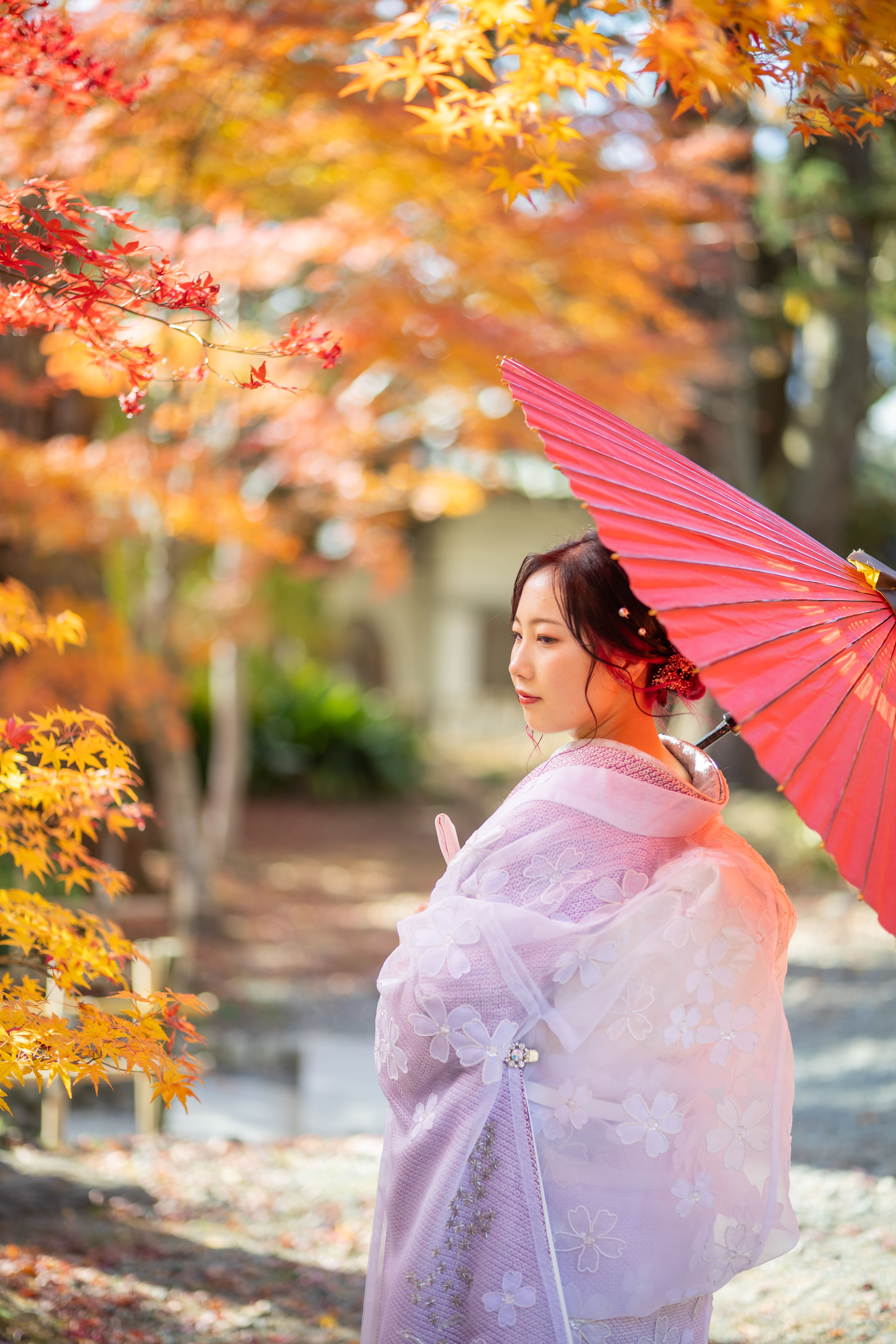 20以上ある撮影シーン