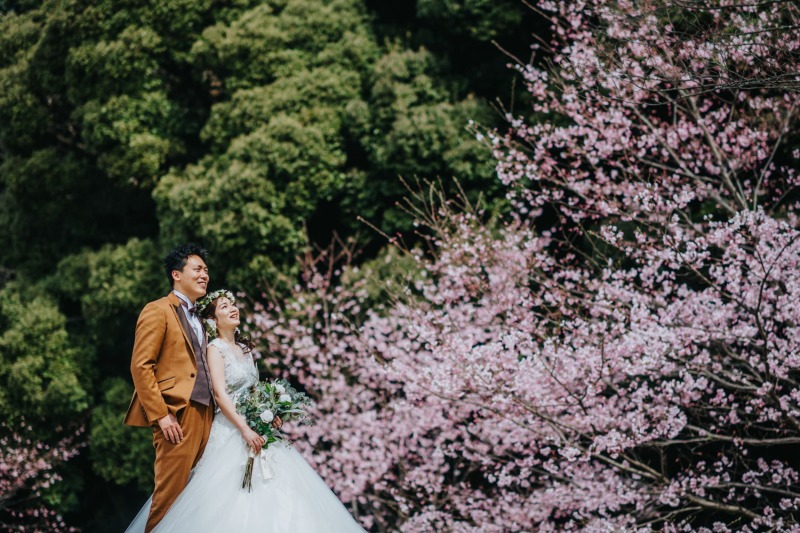 【桜ロケーションフォト】2026年3～4月だけの限定◇桜撮影プラン