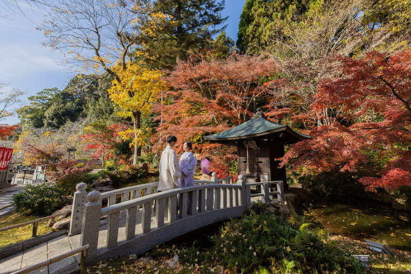 【紅葉ロケーションフォト】2026年11~12月限定◇紅葉撮影プラン★全データ付/衣装追加料金無し★