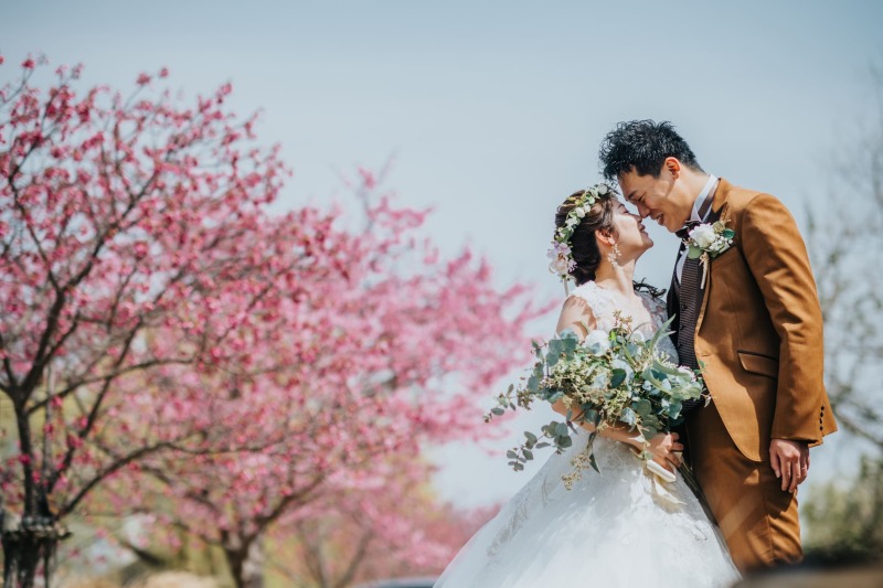 【桜ロケーションフォト】2026年3～4月だけの限定◇桜撮影プラン