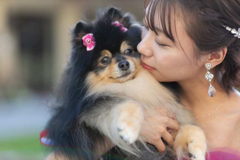 【ペットと一緒に撮影★】大切な家族と撮影できるフォトプラン♪衣装選び放題！