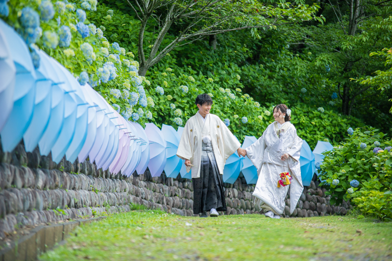 【新緑フォト】2026年6月末迄の限定◇紫陽花撮影プラン