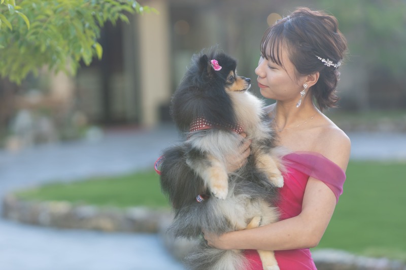 【ペットと一緒に撮影★】大切な家族と撮影できるフォトプラン♪衣装選び放題！