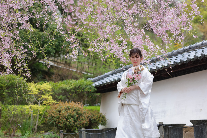 【早い者勝ち】桜早割プラン◆¥39,000でデータ10カット付き