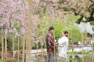 【早い者勝ち】桜早割プラン◆¥39,000でデータ10カット付き