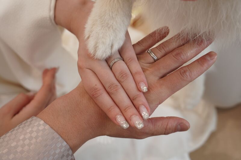 お手元ショット