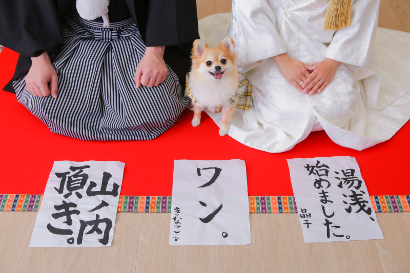 CLAIRE浜松店_ペットと一緒に撮影できる