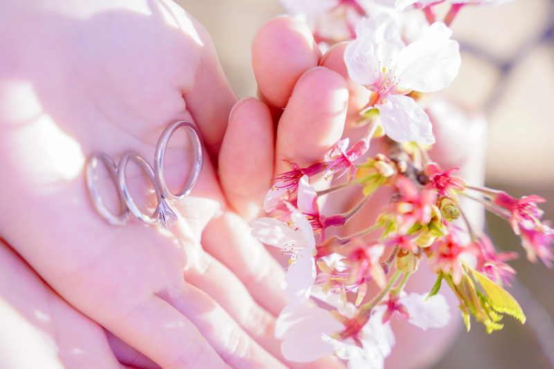 【2026年桜花期シーズンご撮影の方へ】桜キャンペーンCプラン◆&yen;39,800でデータ10カット◆サクッとミニロケプラン