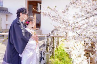 【2026年桜花期シーズンご撮影の方へ】桜キャンペーンCプラン◆&yen;39,800でデータ10カット◆サクッとミニロケプラン