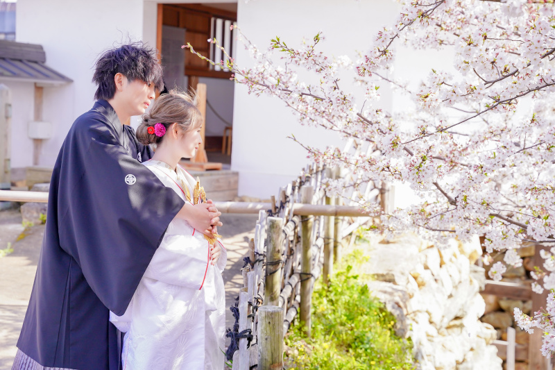 【2026年桜花期シーズンご撮影の方へ】桜キャンペーンCプラン◆&yen;39,800でデータ10カット◆サクッとミニロケプラン