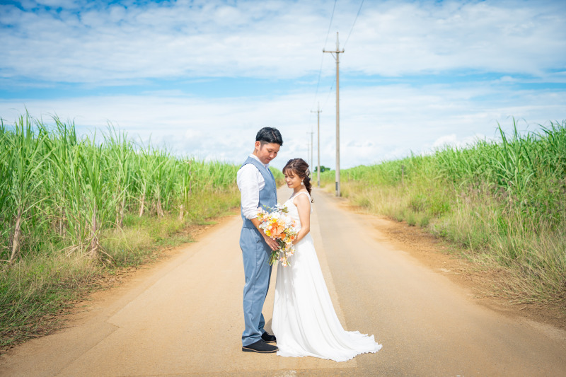 サトウキビ畑で１枚