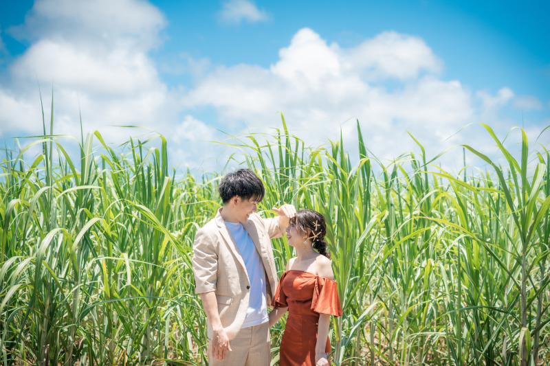 サトウキビ畑♪