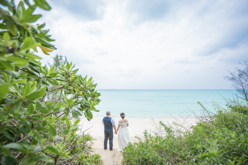 グリーンバックにいい感じ!